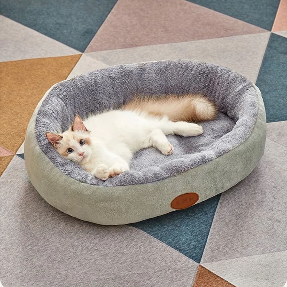 Bed Pet