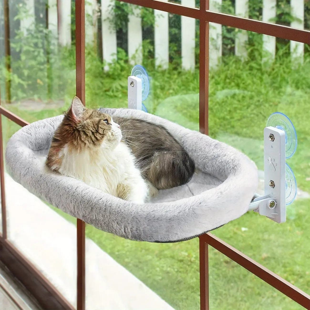 Cat Window Bed